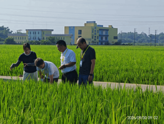 广东科技工作者江门行：左继浩博士把“田间课堂”搬到生产一线